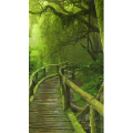 高清风景2634