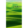 高清风景2642
