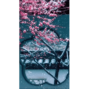 高清风景2644