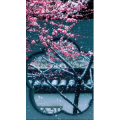 高清风景2644