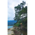 高清风景2649
