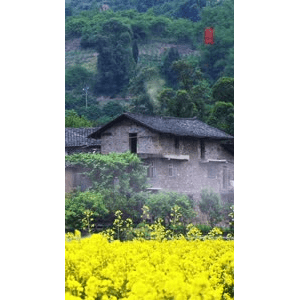 高清风景2651