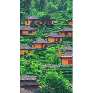高清风景2654