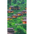 高清风景2654