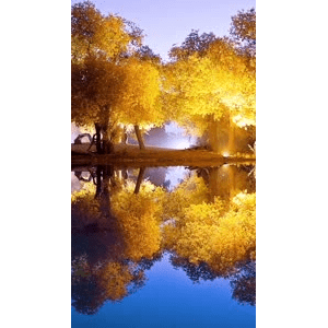 高清风景2658