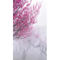 高清风景2663