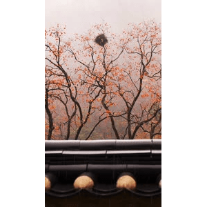 高清风景2665