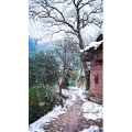 高清风景2666