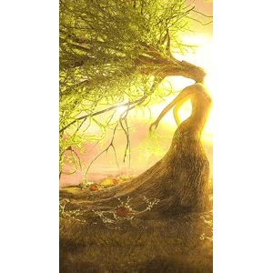高清风景2667