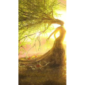 高清风景2667