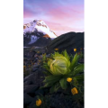 高清风景2670