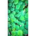 高清风景2675