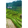 高清风景2676