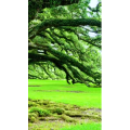 高清风景2686