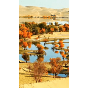 高清风景2692