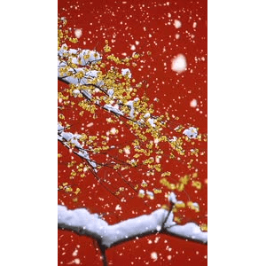高清风景2694
