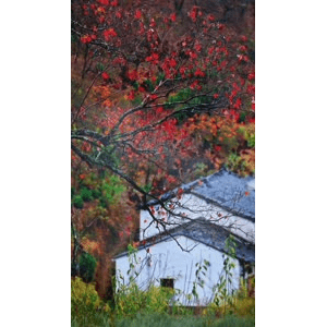 高清风景2695