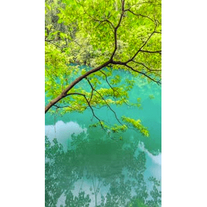 高清风景2698