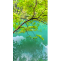 高清风景2698