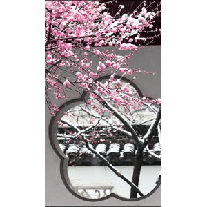高清风景2699