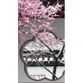 高清风景2699