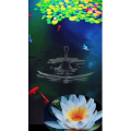 高清风景2708