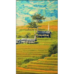 高清风景2709