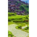 高清风景2710
