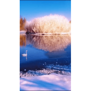 高清风景2711