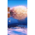 高清风景2711