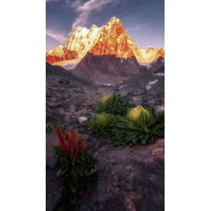 高清风景2715