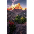 高清风景2715