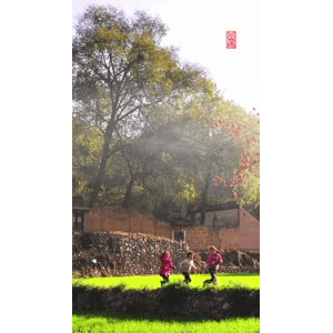 高清风景2735