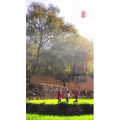 高清风景2735