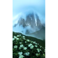 高清风景2751