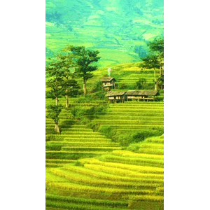 高清风景2754