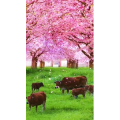 高清风景2767
