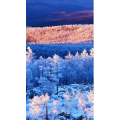 高清风景2773