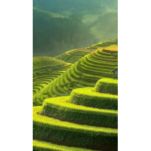 高清风景2785