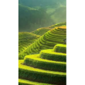 高清风景2785