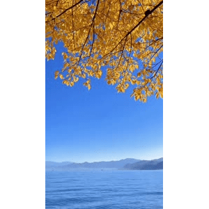 高清风景2791