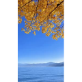高清风景2791