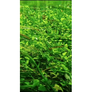 高清风景2796