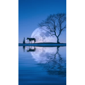 高清风景2798
