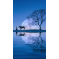 高清风景2798