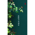 高清风景2802
