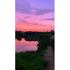 唯美短视频61