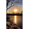 唯美短视频63