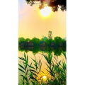 唯美短视频96