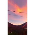 唯美短视频102